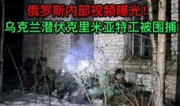 乌克兰内部爆料视频大全,揭秘战火背后的真相与挑战